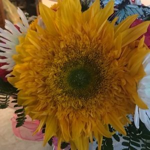 Meet your Posher, Kathryn